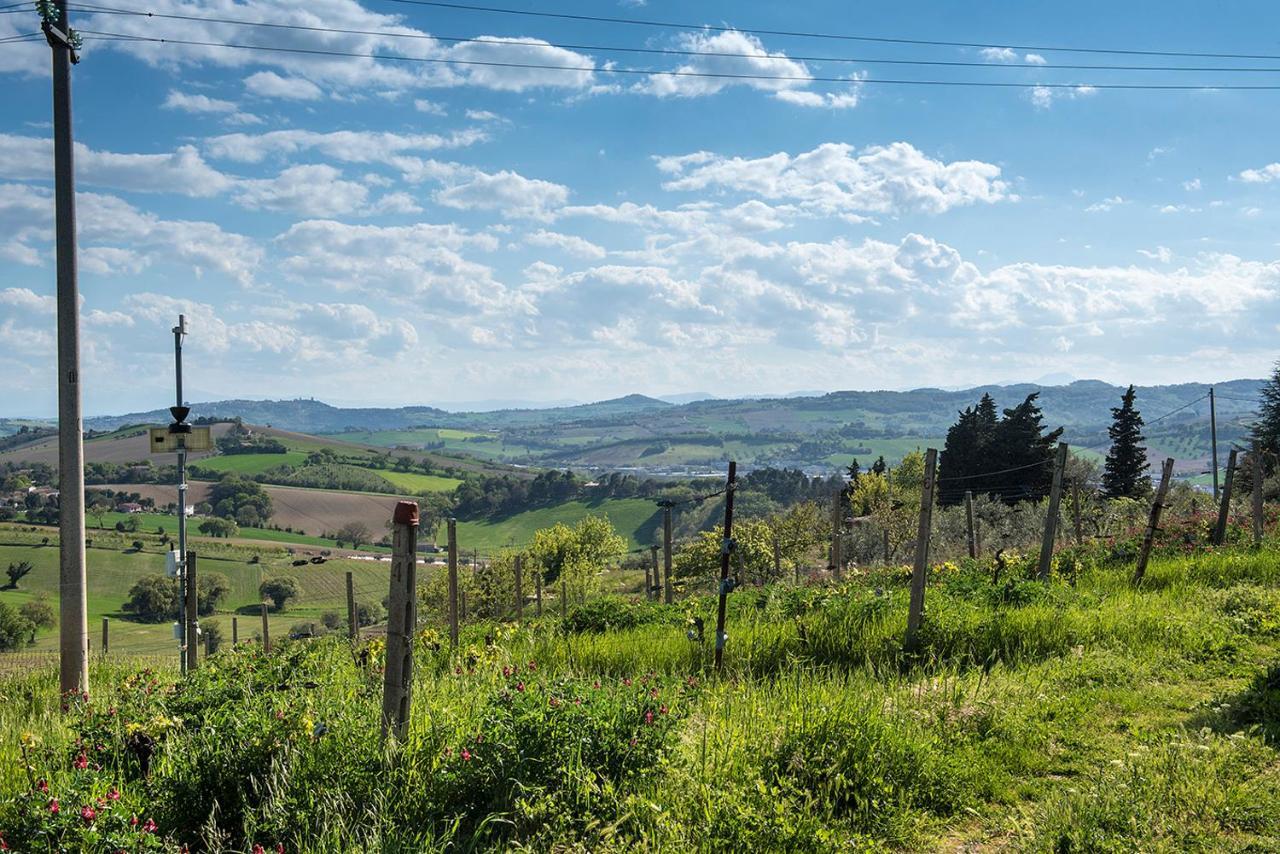 A11 - Varano, Delizioso Trilocale Con Giardino Ancona Exterior foto